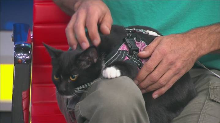 Pet of the Week: Worm