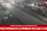 La violó y después le pidió perdón: ''Es la primera vez que hago esto''