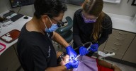 Dental program improving, industry says, but misconceptions about 'free' care persist