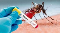 El NEA registró una tasa de 12 casos de dengue cada 100.000 habitantes en la temporada 2024/2025