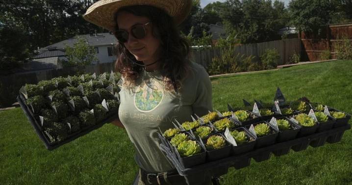 Move over, green lawns. Drier, warmer climate boosts interest in low