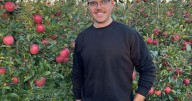 New York Apple Association names new chairman