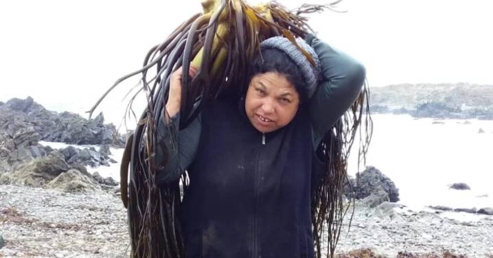 Recolectoras de algas marinas de Coquimbo se convierten en sembradoras para recuperar los bosques submarinos