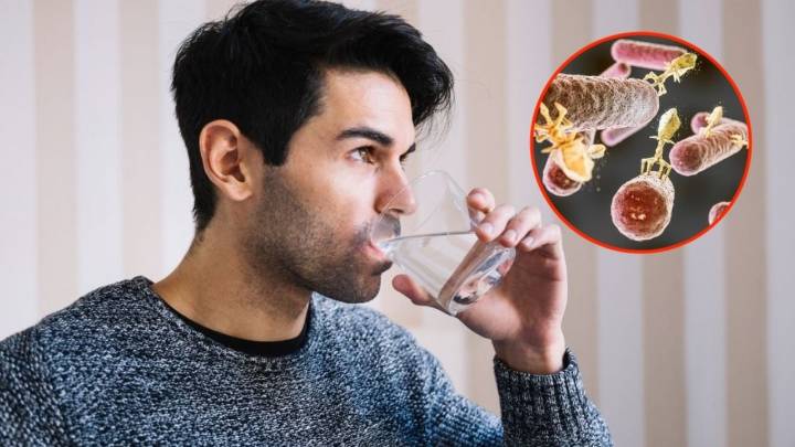 ¿Puede la ameba devoradora de cerebros propagarse a través del agua potable? Esto dice la OMS