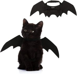 Shoppers Say Their Pets ‘Received a Lot of Compliments’ While Wearing This ‘Adorable’ $5 Costume