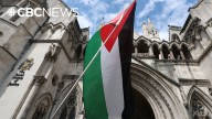 Palestinians express hope and skepticism following global push for statehood