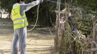 Nuevo caso de virus del Nilo en un pollo de águila en Hinojos (Huelva)