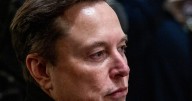 'He Was Murdered:' Elon Musk Responds to Tucker Carlson Questioning Sam Altman About Death of OpenAI Whistleblower