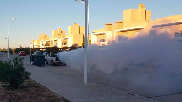 La Municipalidad de la Capital informó el cronograma semanal de fumigaciones