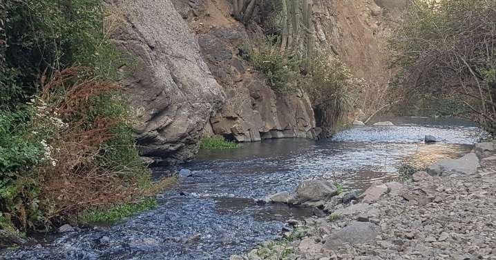 Espacio protegido: Estero del Arrayán se convierte en el 15° humedal urbano de la RM