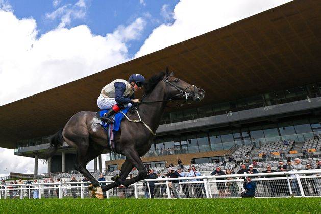 Ger Lyons’ Geryon aiming to build on his bright start at the Curragh