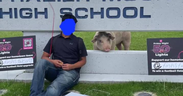 FFA student’s pig stabbed to death ahead of the Kern County Fair