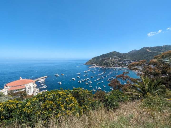 Swimmer bit by a shark during Catalina Channel swim