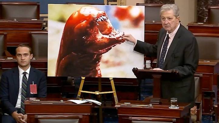 Senator Says Radioactive Shrimp Will Turn You Into the Alien From 'Alien'