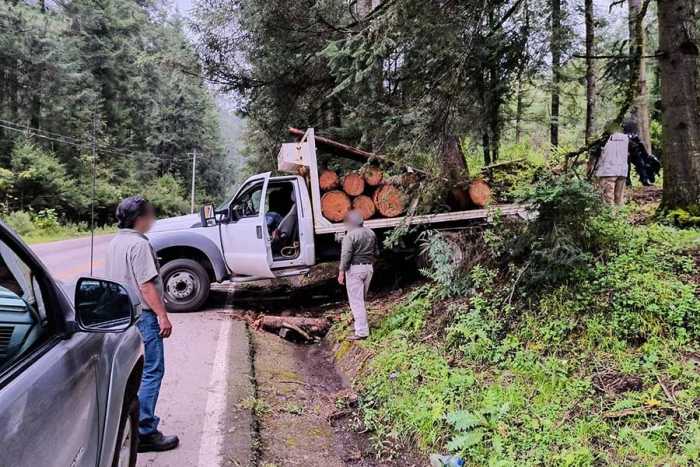 Golpe a la tala clandestina: aseguran madera de oyamel en Ocuilan