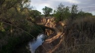A court-ordered monitoring well on Arizona's San Pedro River runs dry