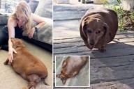 Caregiver adopts dementia-stricken patient's rotund 55