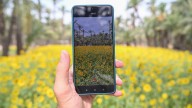 Geointeligencia para crear el gemelo digital del Palmeral de Elche