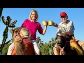 Couple Celebrates Anniversary Riding Camels With Sunday Mugs