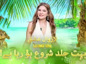 'Lazawal Ishq' announcement stirs controversy online