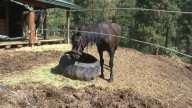 Exploring Idaho: Flowing Springs Ranch boasts Robie Creek's beauty