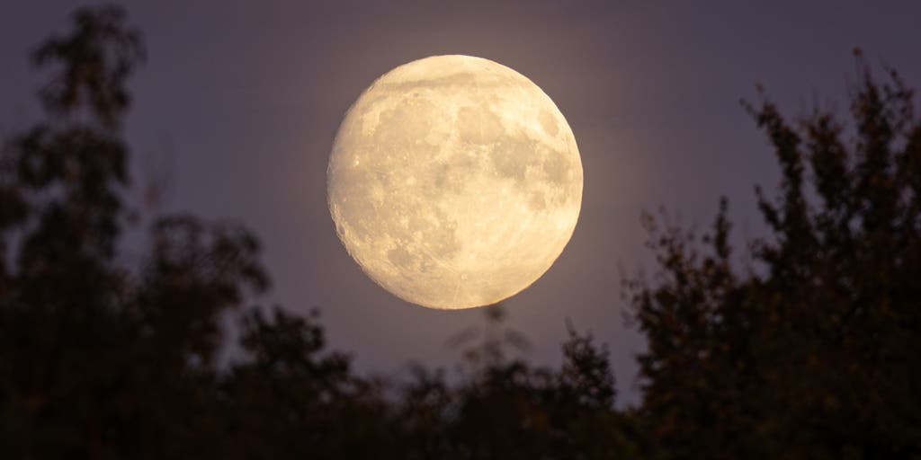 October skywatching: Super Harvest Moon and Draconid and Orionid meteor showers