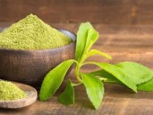 Cuáles son las propiedades curativas de la stevia dulce como edulcorante