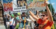 Who else appears to be in the Jeffrey Epstein 50th birthday book?