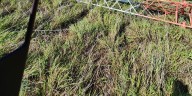 Rainfall causes damage to radio station off Zapata Highway