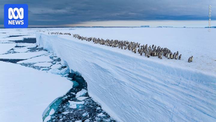 Polar 'geoengineering' projects won't protect environment against climate change, scientists warn