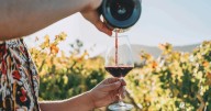 Aragón sabe… a cereza, ternasco y borraja