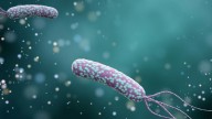 Alertan por los riesgos de una bacteria "silenciosa" que afecta al 50 por ciento de los argentinos