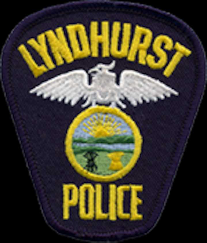 Lyndhurst road rage incident leads to man using garage door panel to pound other driver’s truck