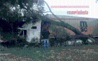 TRÁILER CHOCÓ CONTRA UN ÁRBOL EN LOS REYES ACAQUILPAN; LA PAZ
