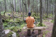 11 Maine trails that are great for forest bathing