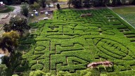 Michigan farm creates incredible Amon-Ra St. Brown headstand corn maze that you can get lost in