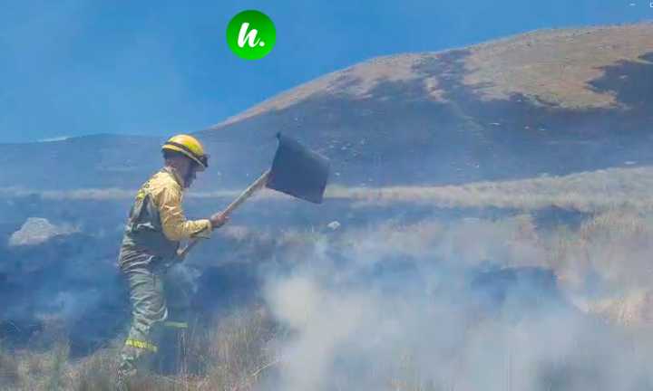 Controlado incendio forestal en Querecocha