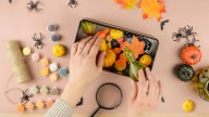 The Simple Dollar Tree DIY That Elevates Your Kitchen Space For Fall
