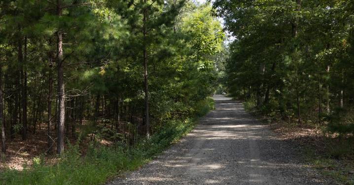 Egg Harbor City wants houses built on 200 acres of undeveloped land
