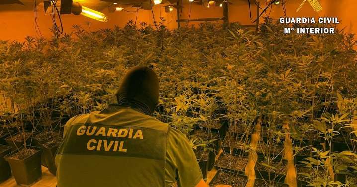 Almería cambia la tendencia en las drogas: menos cannabis en invernaderos y más narcolanchas