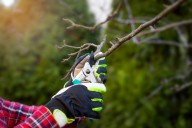 Asking Eric: Introverted gardener doesn’t want to chat, they want to work