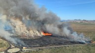 Extinguido el incendio forestal declarado en un espacio protegido de Cartagena tras arrasar 7 hectáreas