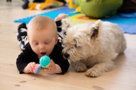 Living With a Dog (But Not a Cat) May Lower Babies’ Risk of Asthma