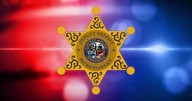 2 arrested after late-night chase in Madison ends with crash into Monona police car
