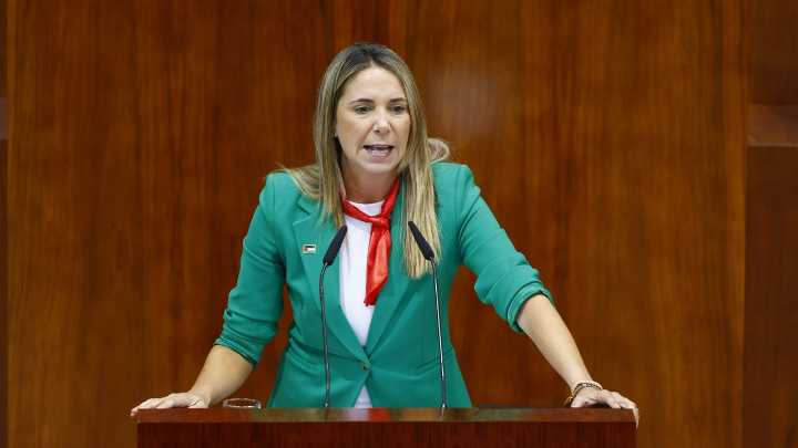El PSOE pide la dimisión de Ayuso: “Usted es una conseguidora sin corazón”