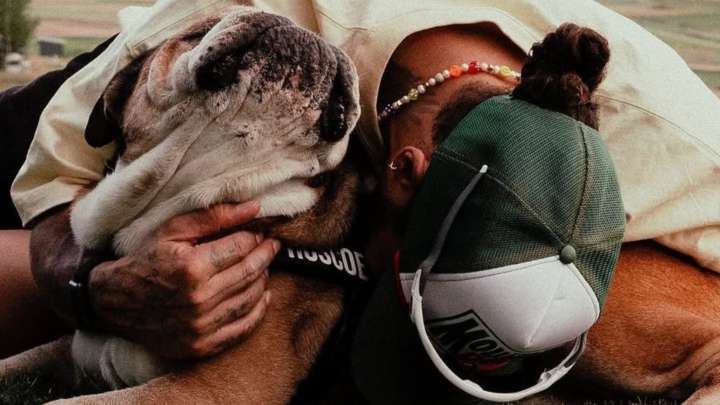 “Roscoe Murió en Mis Brazos”: El Mensaje de Lewis Hamilton por Fallecimiento de su Perro
