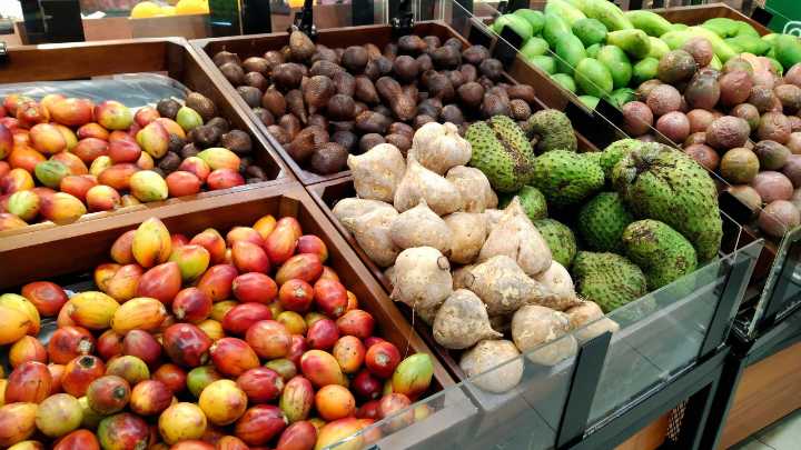 No Data, No Problem: Trump Team Stops Tracking Hunger After Food Stamp Reductions