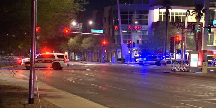 Phoenix police identify driver killed after collision with palm tree