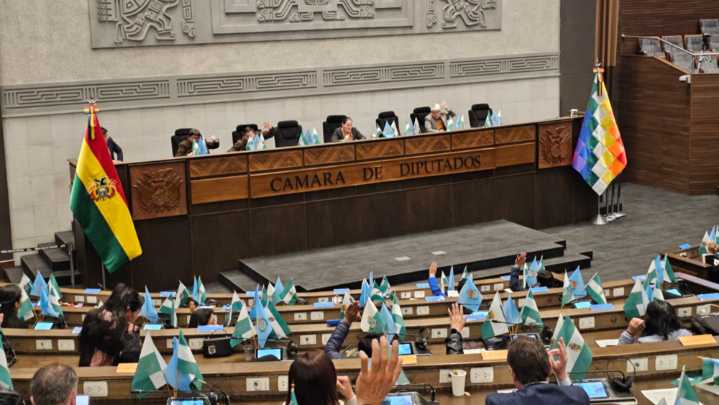 Congreso de Bolivia aprueba ley que prohíbe el matrimonio con menores
