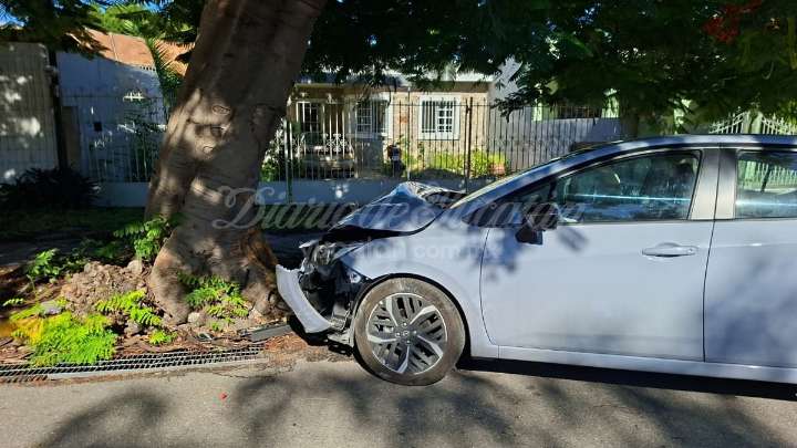 Accidentes en Mérida: Mujer es detenida tras chocar contra un flamboyán